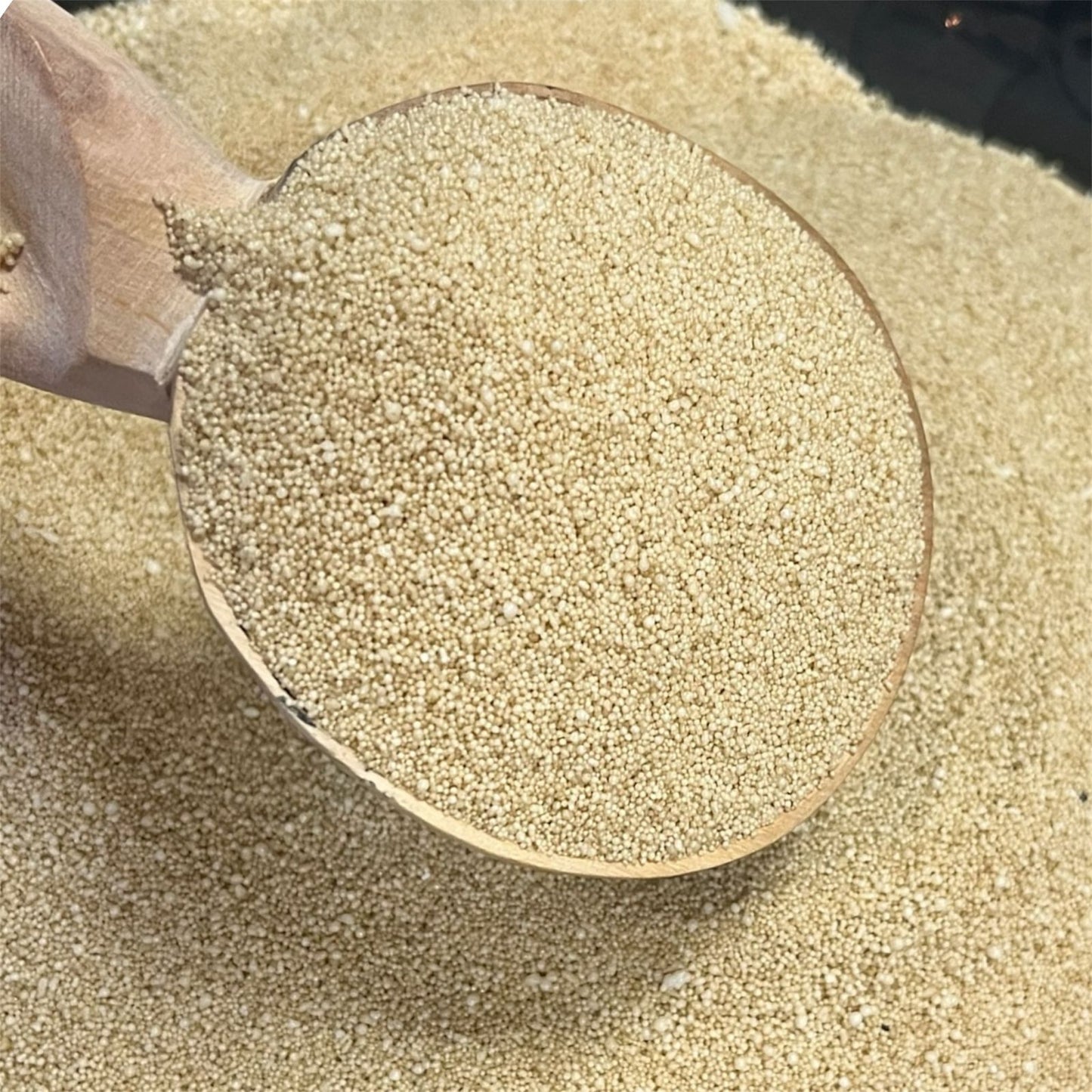 Wax Pearl Scoop