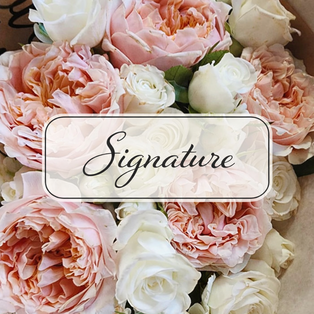 SIGNATURE