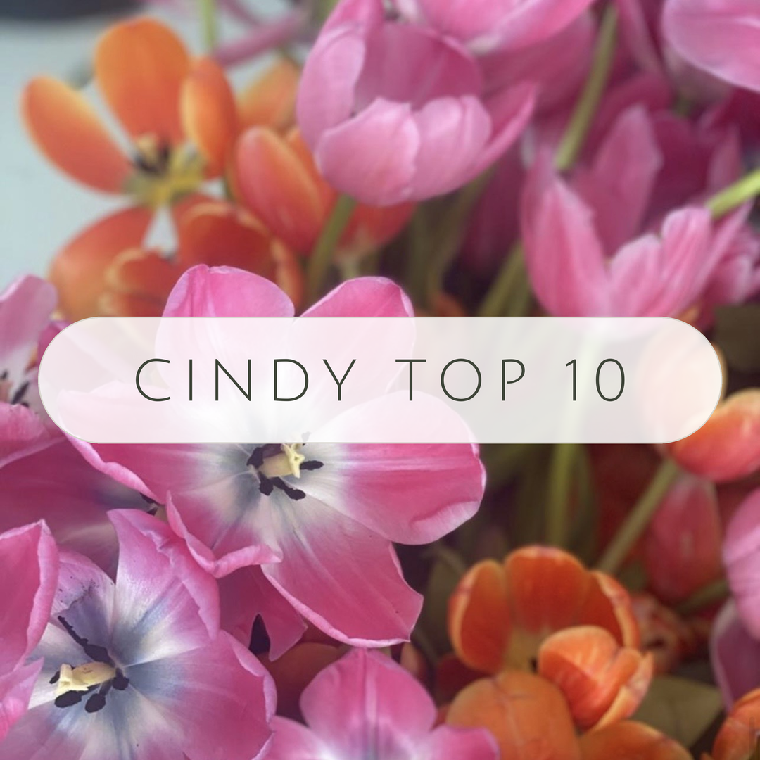 Cindy's Top 10