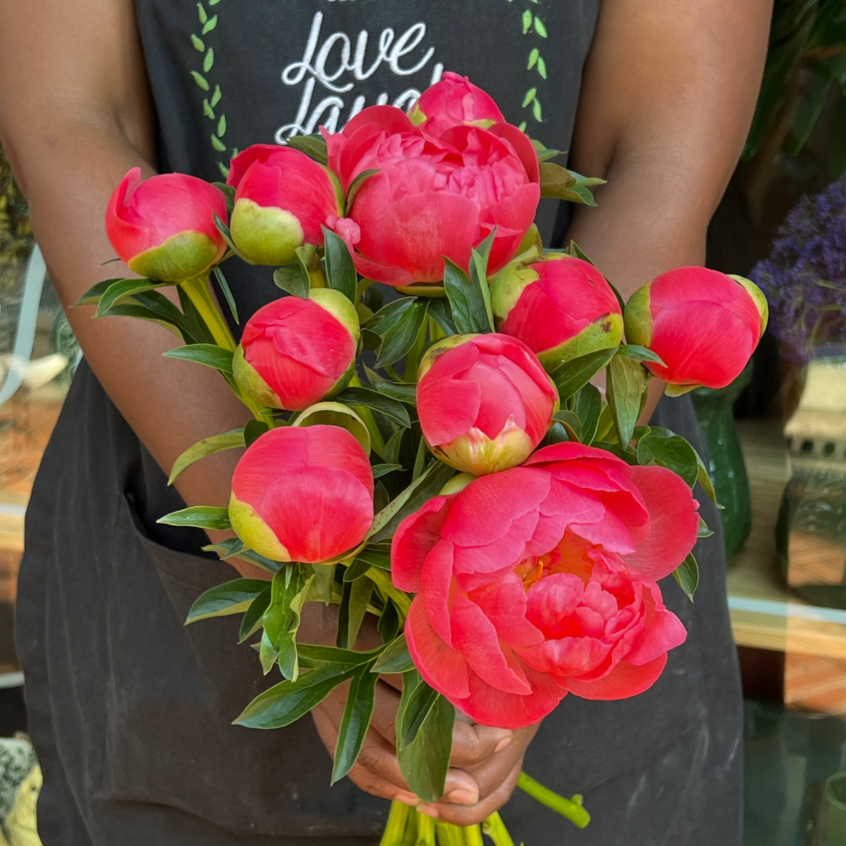 Peony 50cm Stem