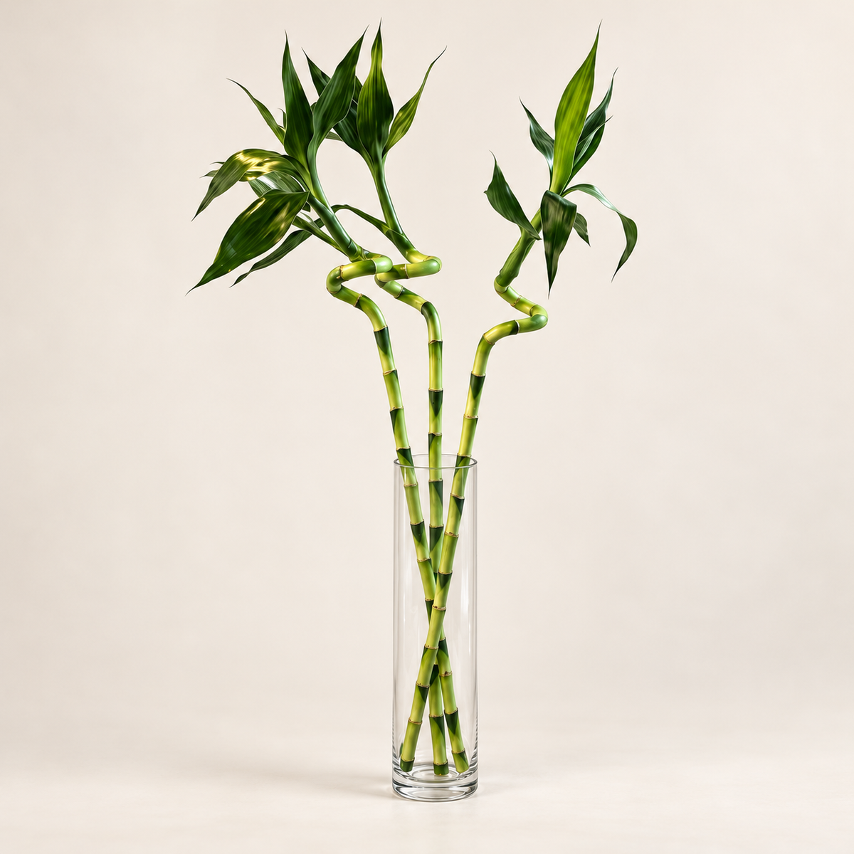 Cylinder Vase 40 x 10cm