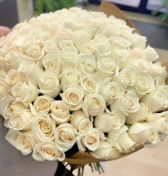 ROSES WHITE Stem