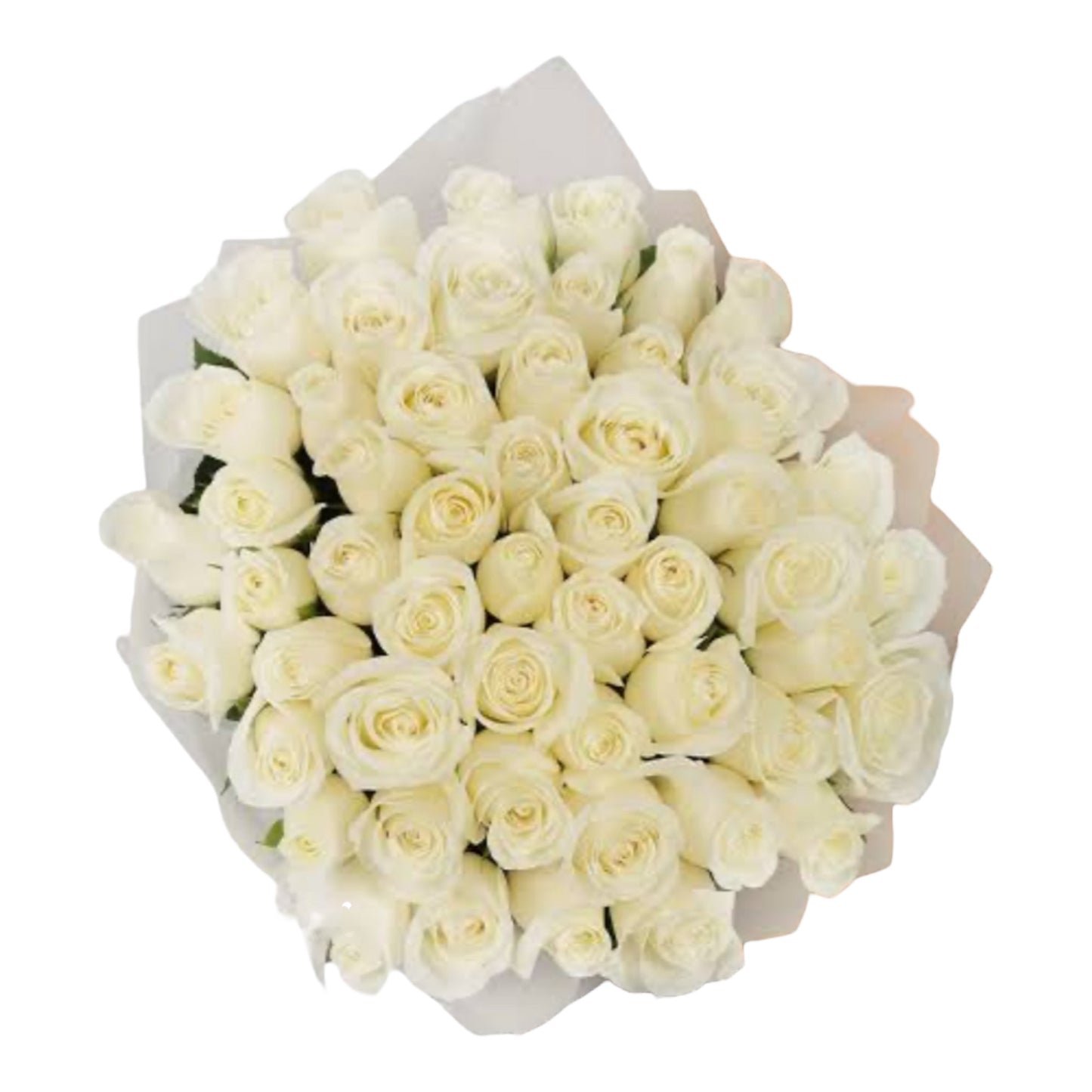 ROSES WHITE Stem