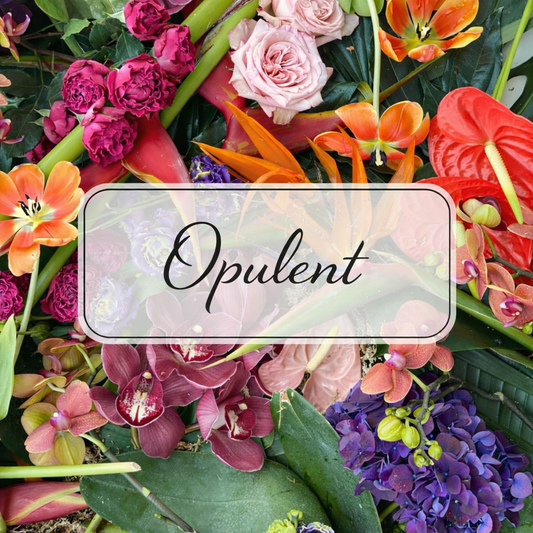 OPULENT